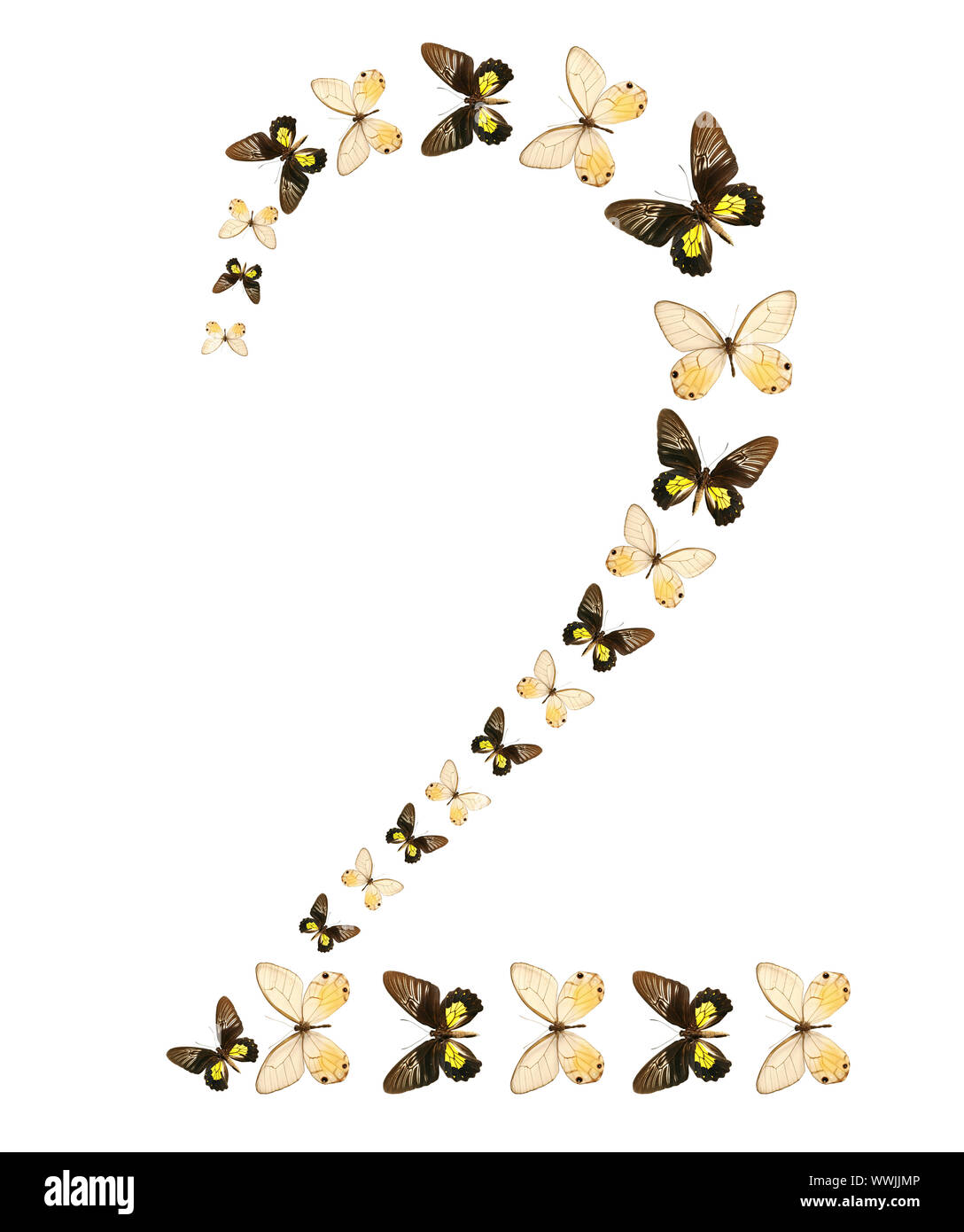Number butterfly hi-res stock photography and images - Alamy