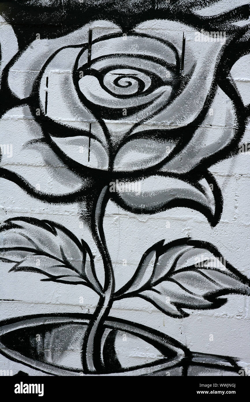 Black and white rose street graffiti paint detail wall Stock Photo - Alamy