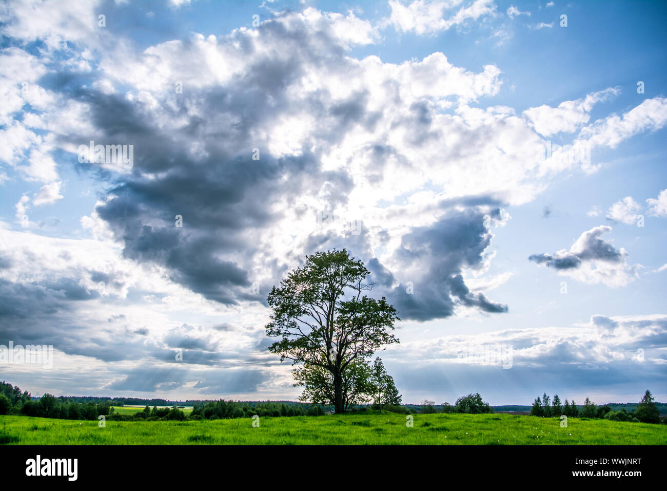 Clouds one single tree hi-res stock photography and images - Alamy
