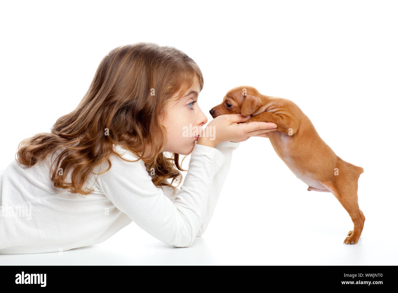 Brunette profile girl with dog puppy mascot mini pinscher on white ...