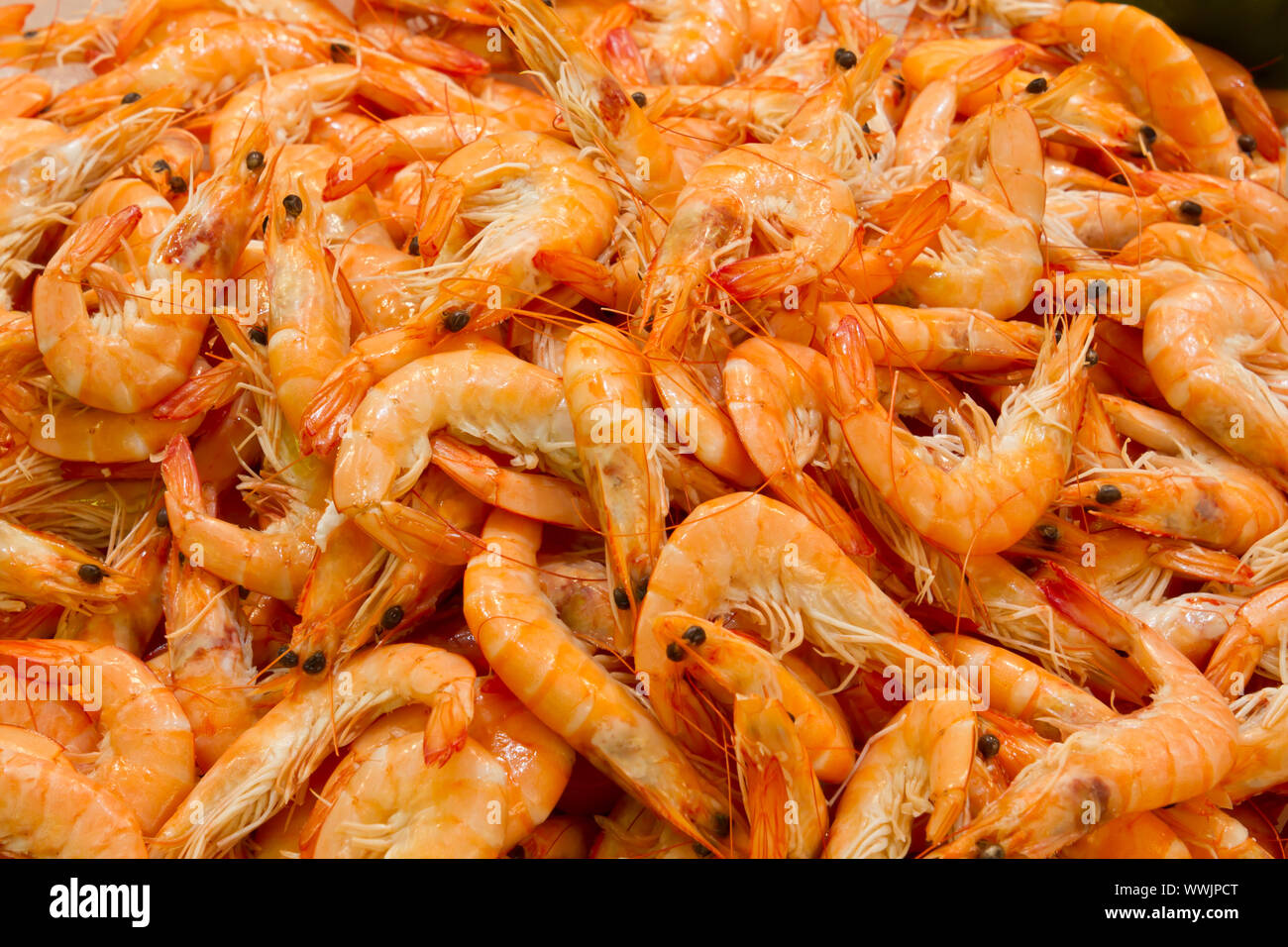 Crabs close up hi-res stock photography and images - Alamy