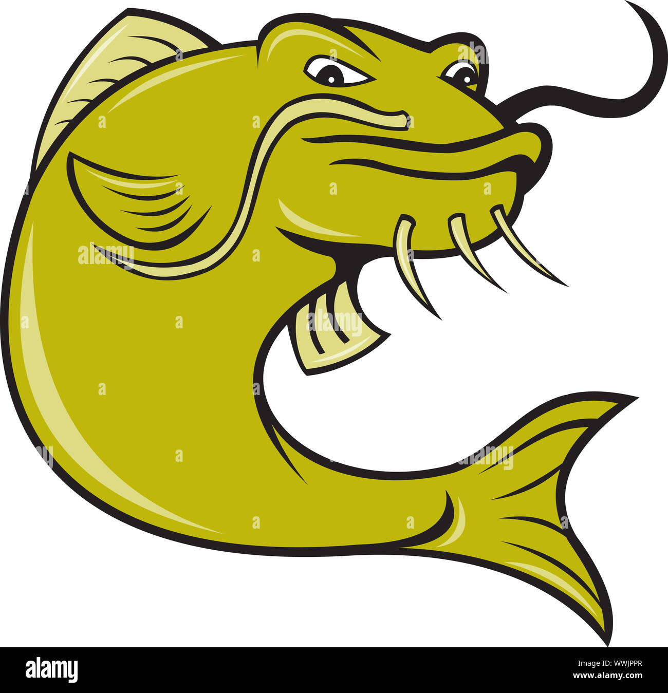 illustration of angry catfish done in cartoon style on isolated white background. Stock Photo