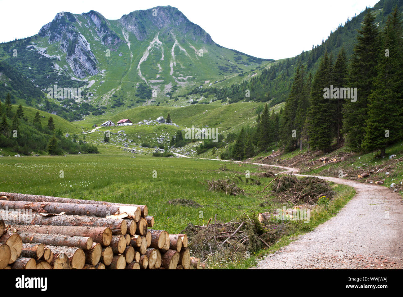 The Rotwand in the Mangfall Mountains (Bavarian Alps) Stock Photo