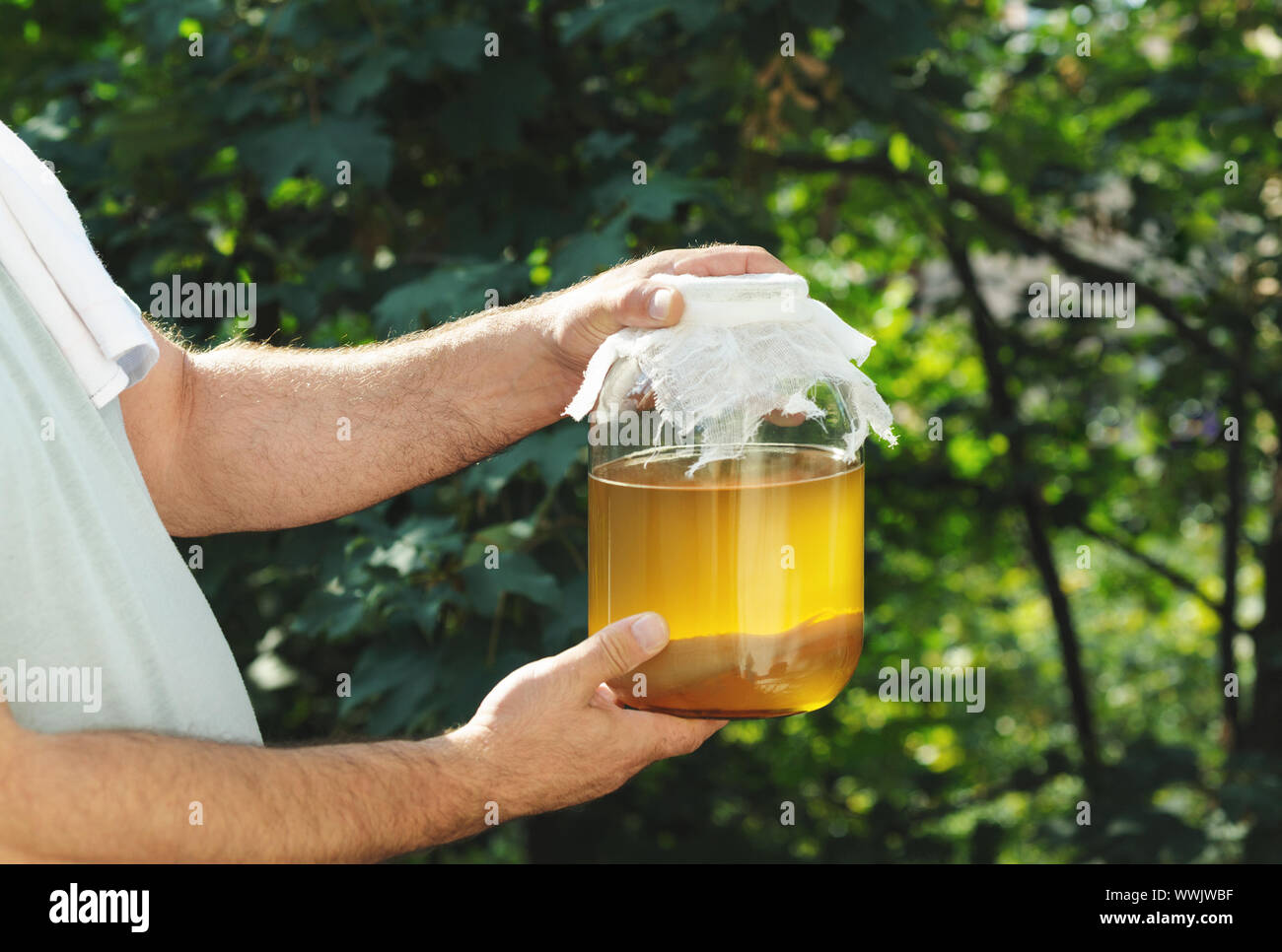 Man with a glass jar filled with tea mushroom homemade  kombucha tea in the garden. Fermented drink, jun tea healthy natural probiotic in a glass jar. Stock Photo
