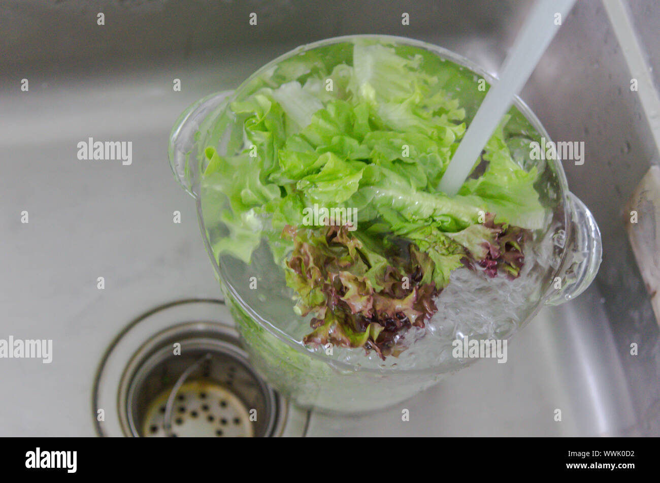 Washing fresh vegetables in the sink. Stock Photo