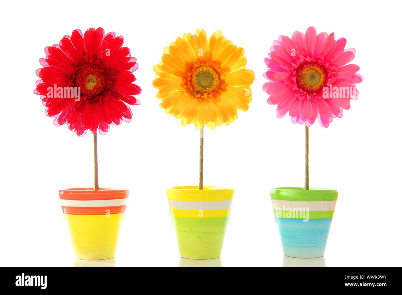 happy spring flowers isolated on white background Stock Photo - Alamy