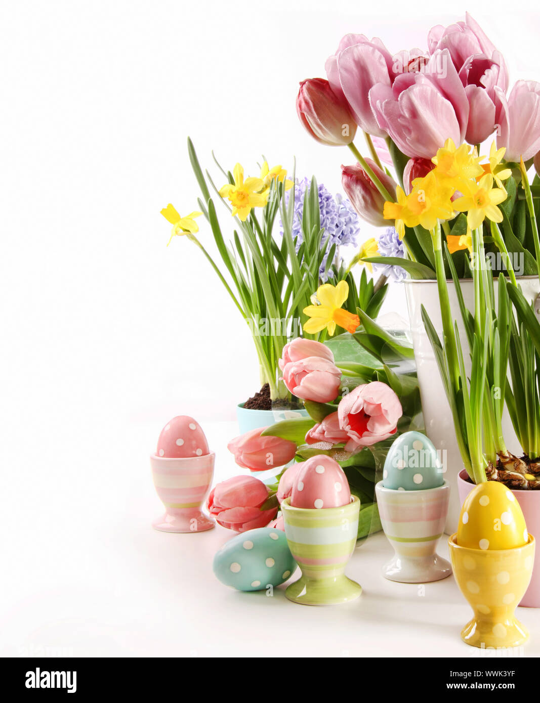 Easter eggs with spring flowers on white background Stock Photo - Alamy