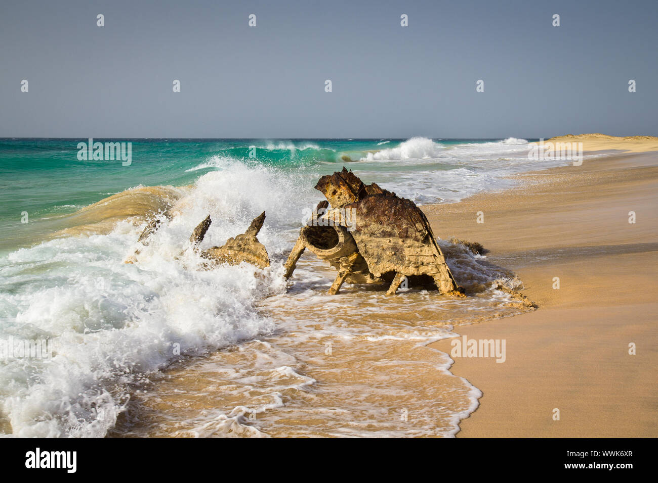 Sea Wracks High Resolution Stock Photography And Images Alamy