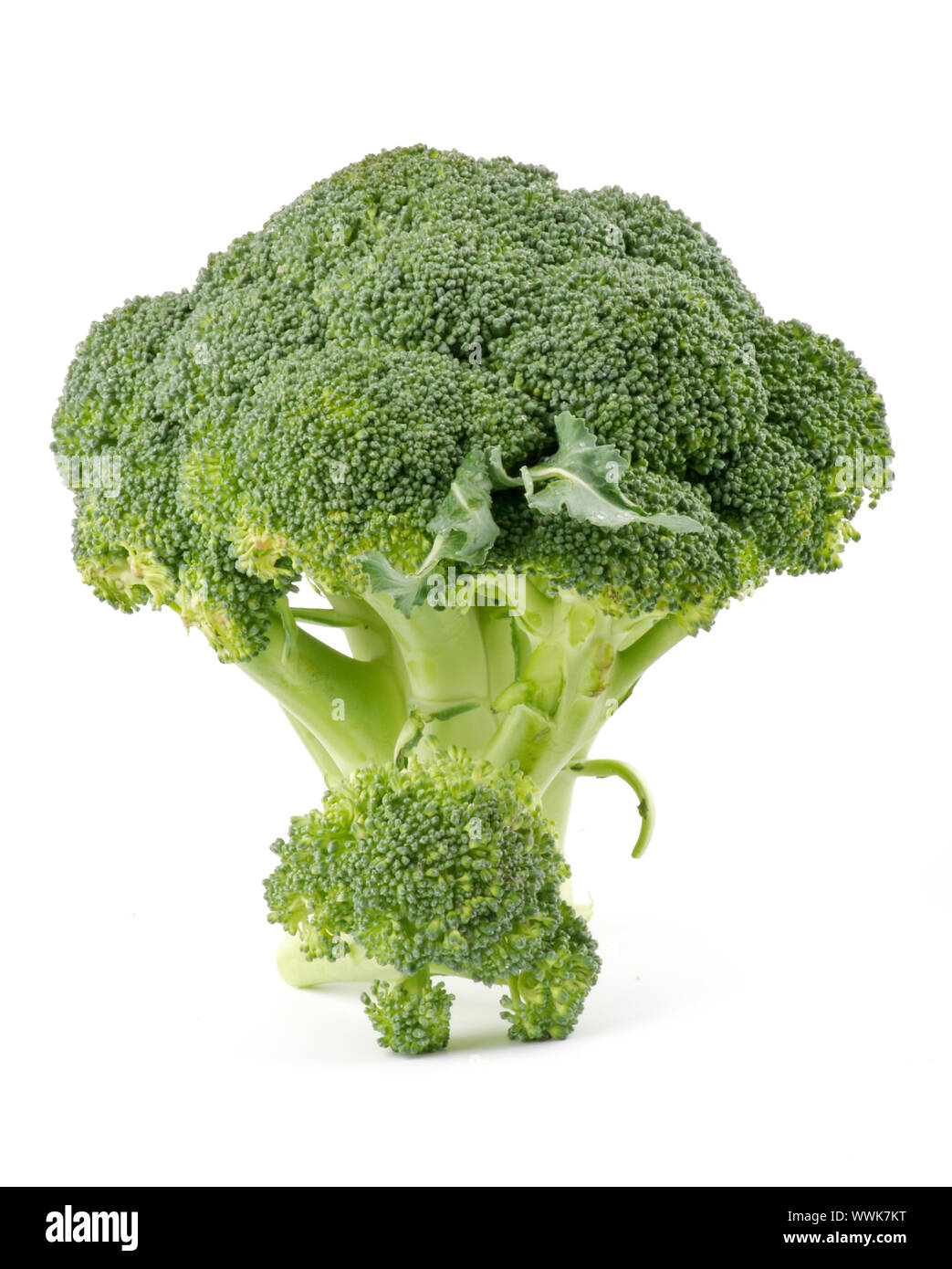 Two green broccoli on Cut Out Stock Images & Pictures - Alamy