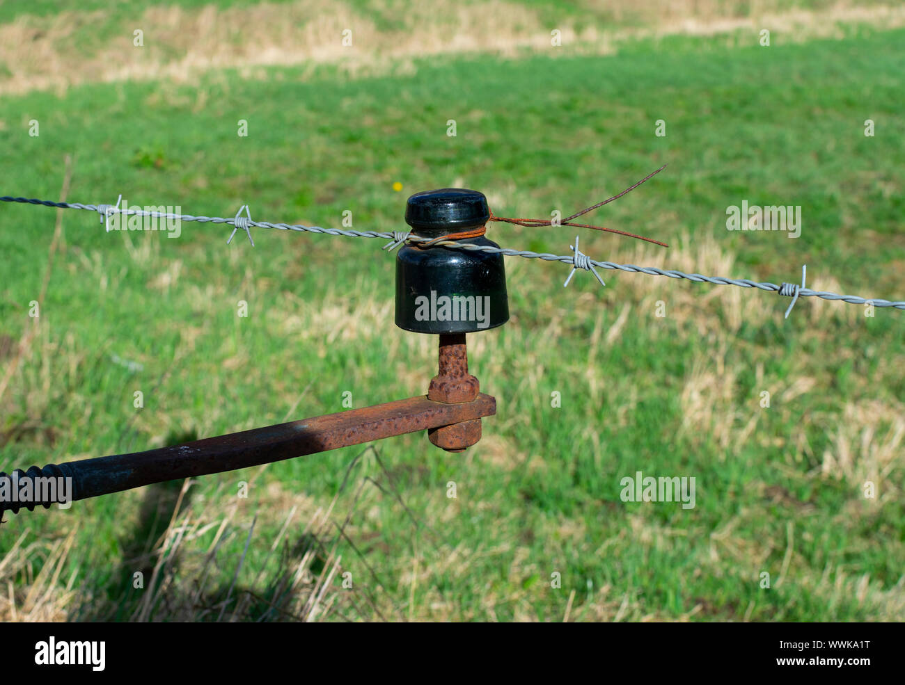Old vintage rusty electric glass insulator to keep cattle in the meadow Stock Photo