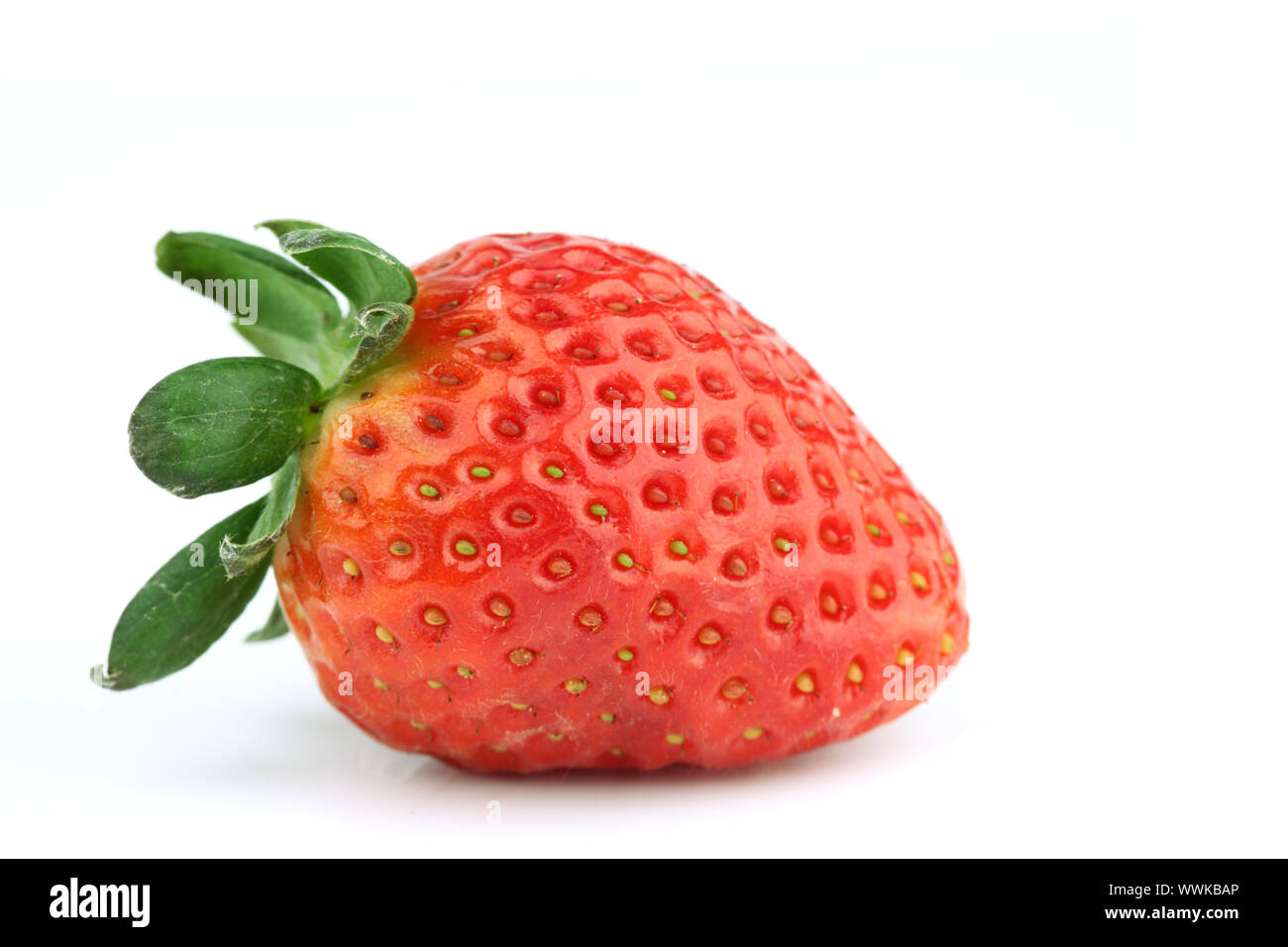 one strawberry on white background Stock Photo - Alamy