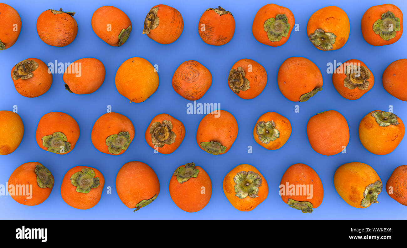 group of persimmon fruits on a blue background in a flat lay style. 3d render image. Stock Photo