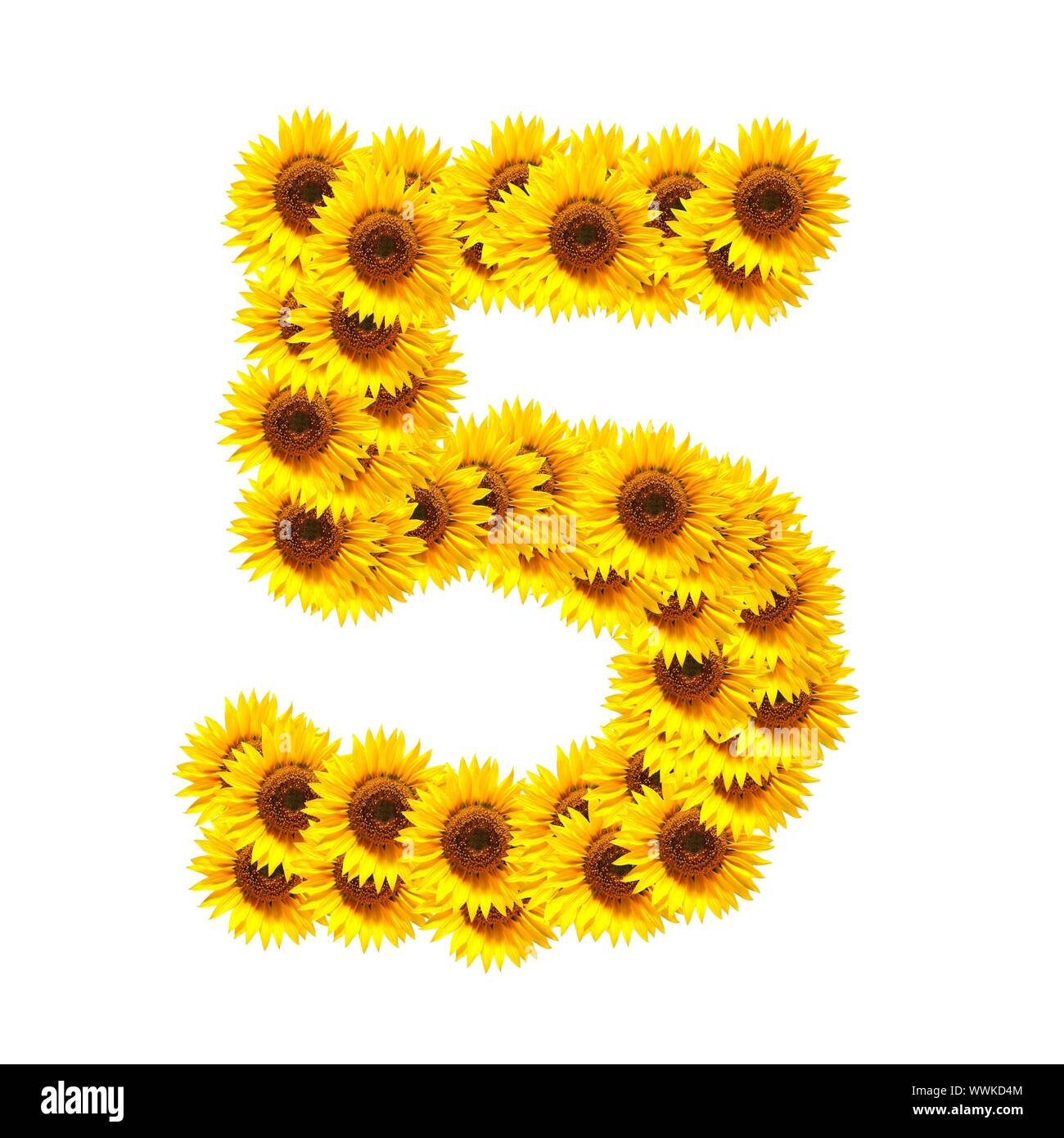 Sunflower alphabet isolated on white hi-res stock