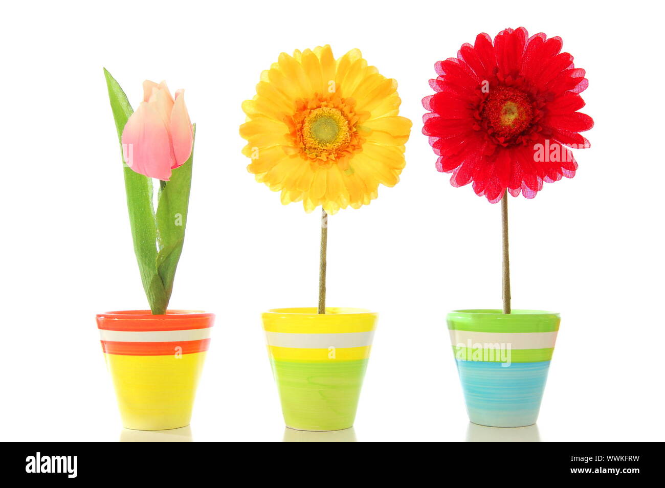 happy spring flowers isolated on white background Stock Photo - Alamy