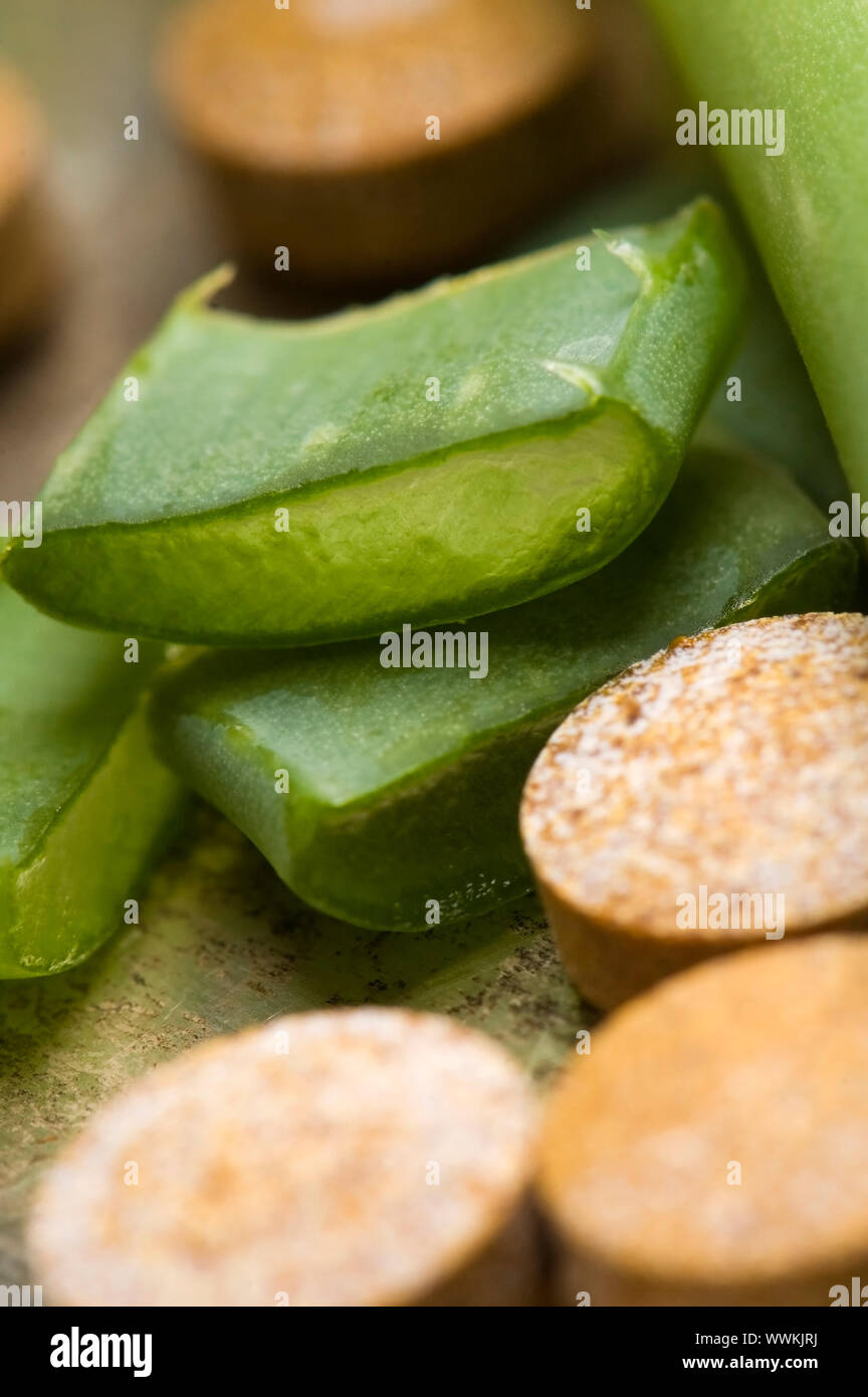 aloe vera plant with pills herbal medicine Stock Photo Alamy
