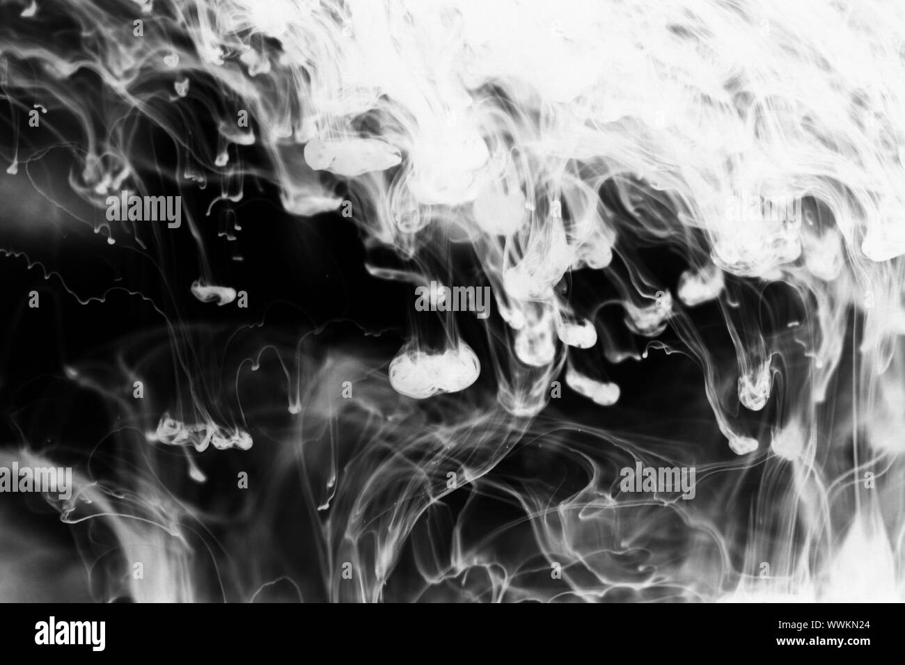 abstract ink background flow in water Stock Photo