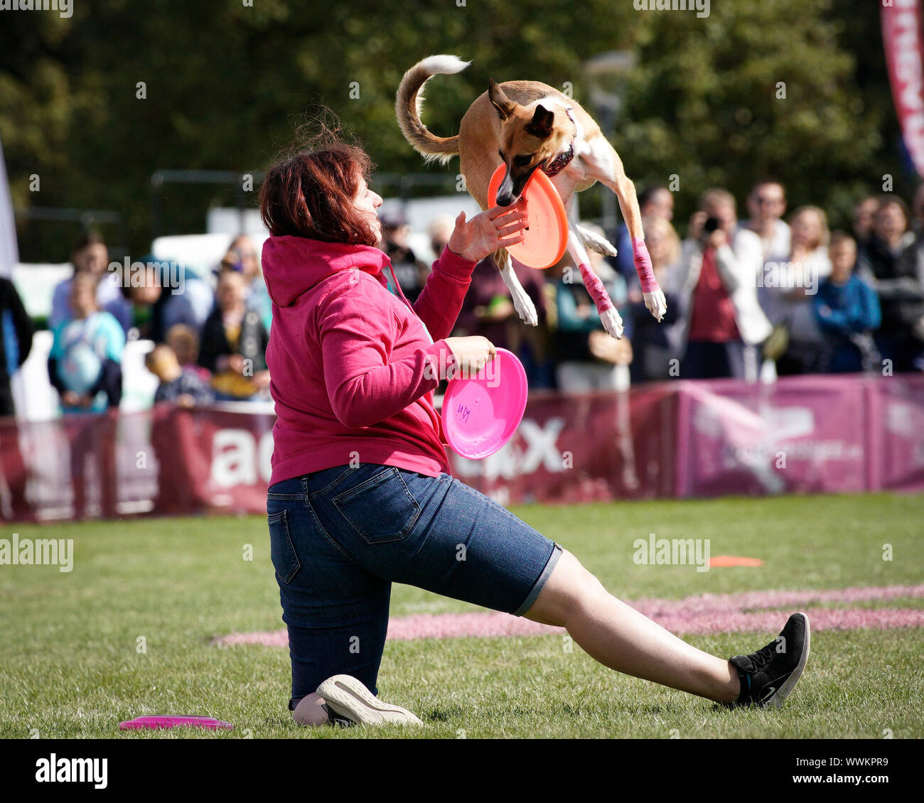 disc dog competition