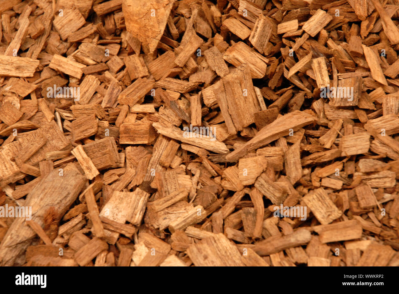Wood Bark Chippings as a garden mulch covering to prevent weeds and conserve moisture Stock