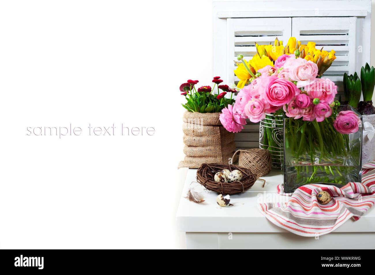 easter composition with eggs and spring flowers on white background ...