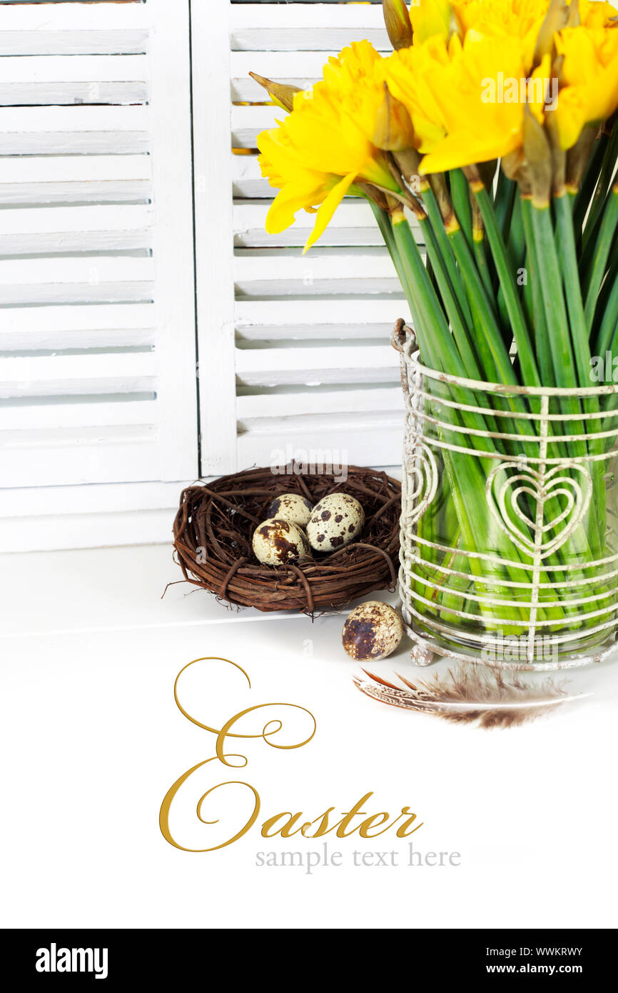 easter composition with eggs and spring flowers on white background ...