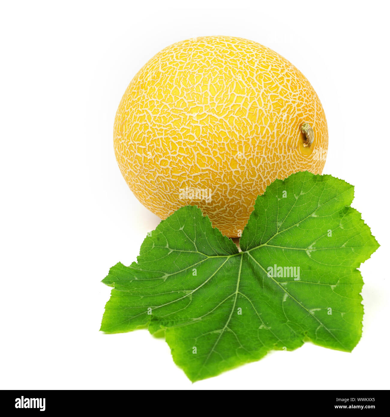 galia melone isolated on white Stock Photo