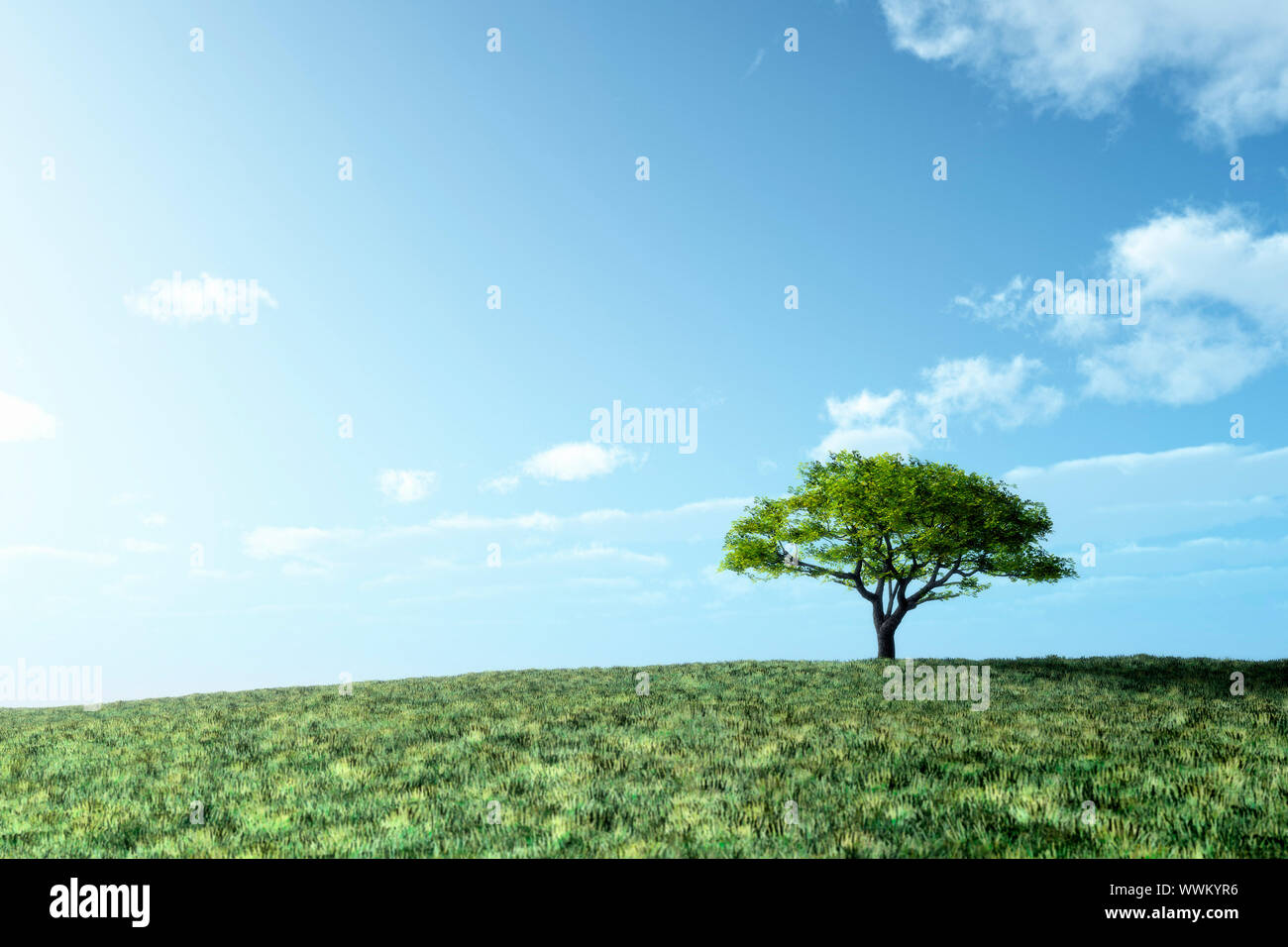 An image of an idyllic green tree under the bright blue sky with space ...