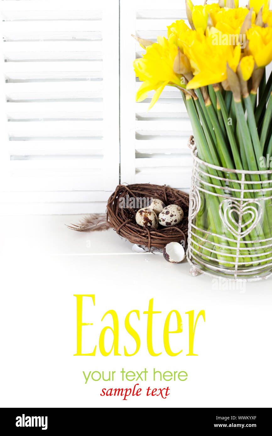 easter composition with eggs and spring flowers on white background ...