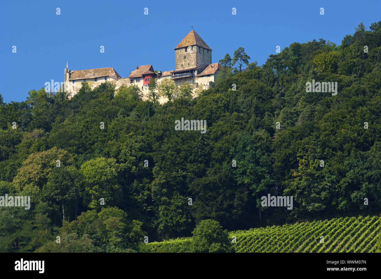 The medieval Hohenklingen Castle near Stein am Rhein Stock Photo