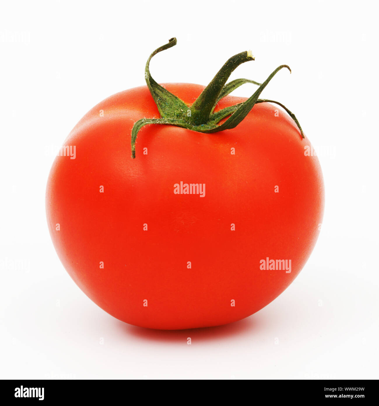 one tomato isolated on white Stock Photo - Alamy