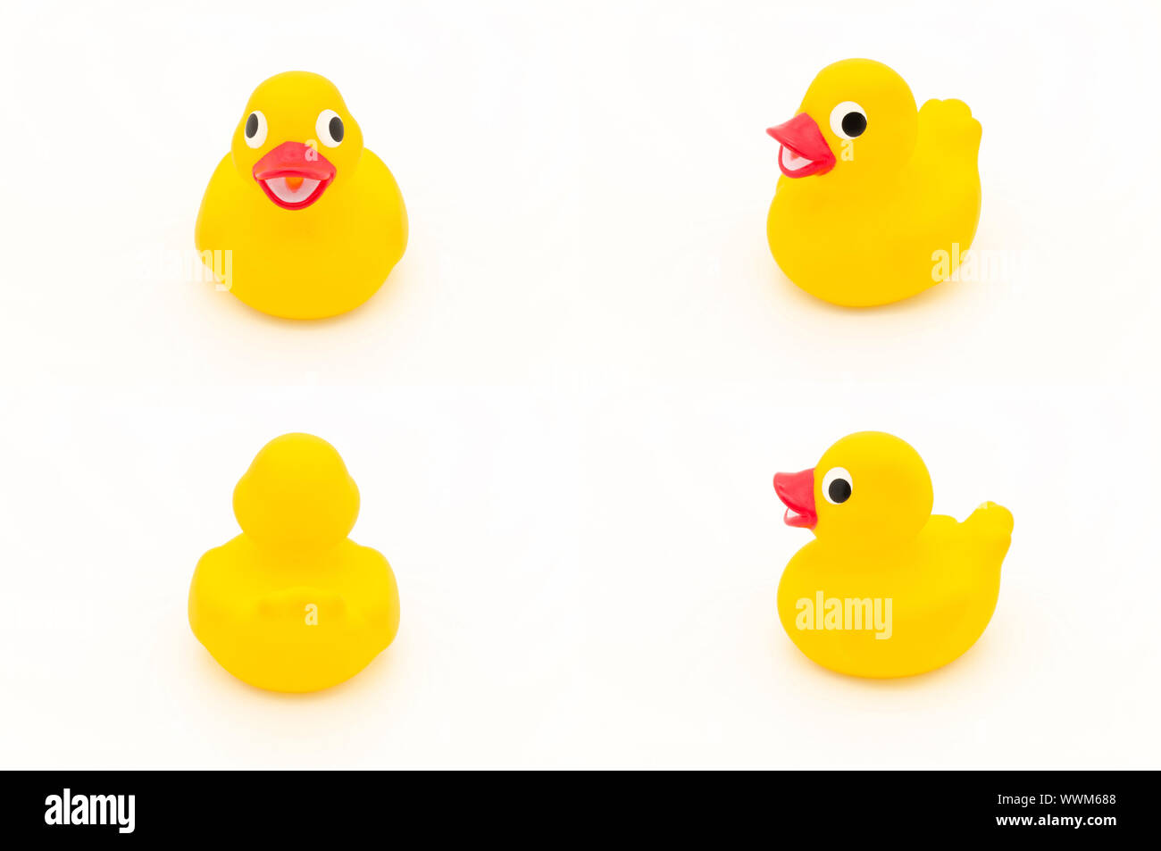 Yellow duck. (Collection 4 in 1) Stock Photo