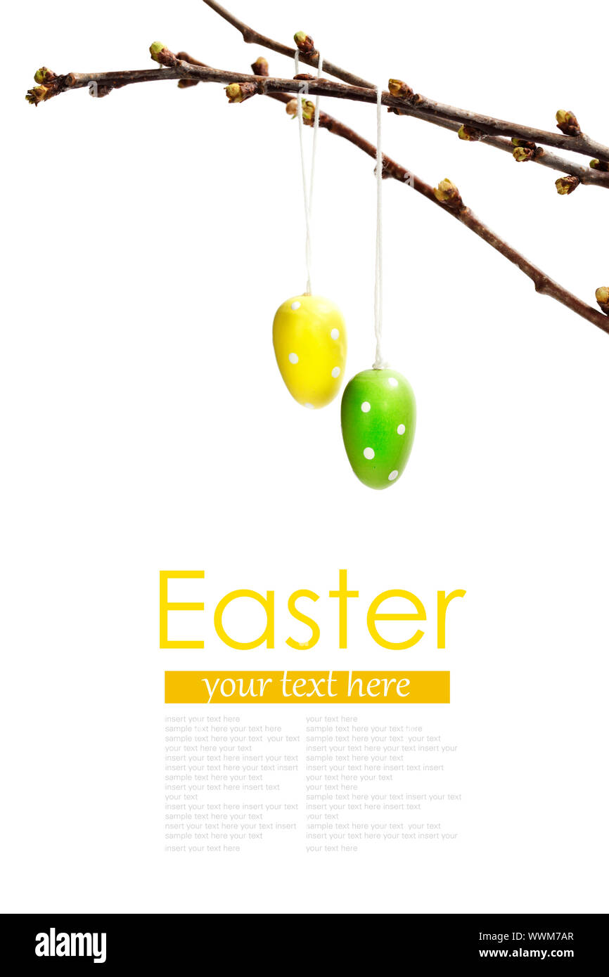 Pretty Colored Easter Eggs hanging on Ribbons with bows  (with easy removable text ) Stock Photo