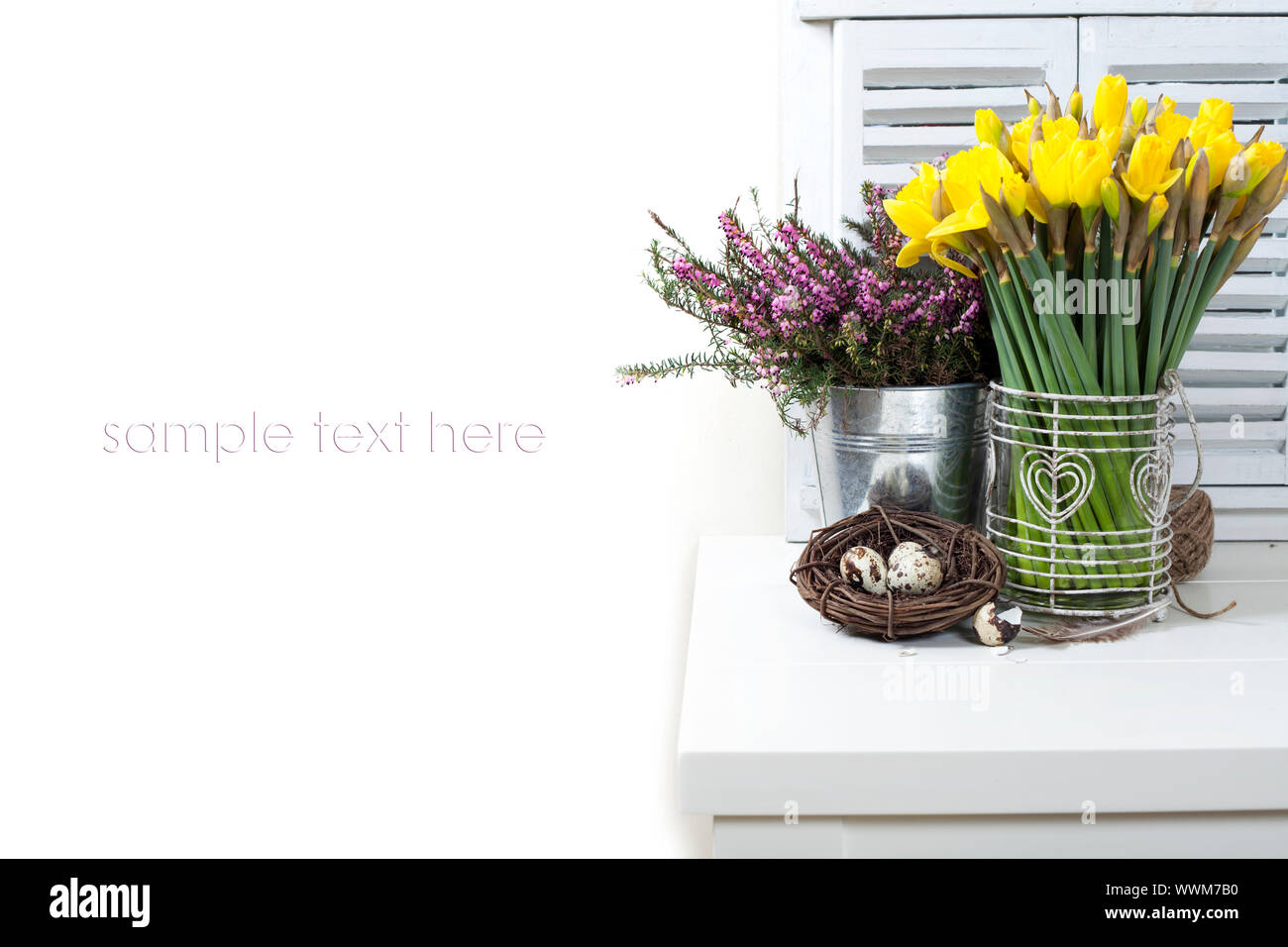easter composition with eggs and spring flowers on white background ...