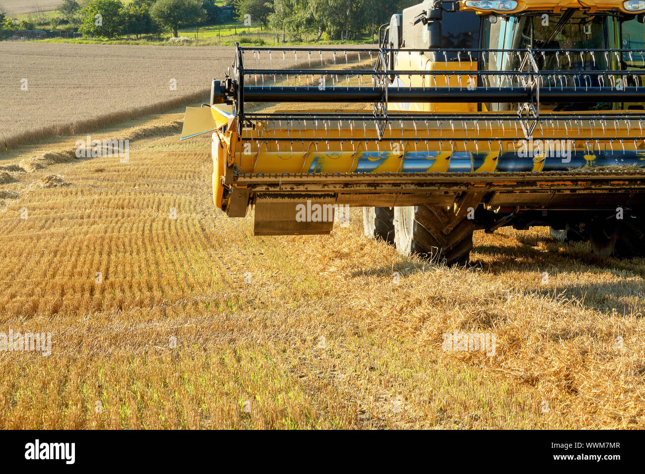 Combiner harvester in field hi-res stock photography and images - Alamy