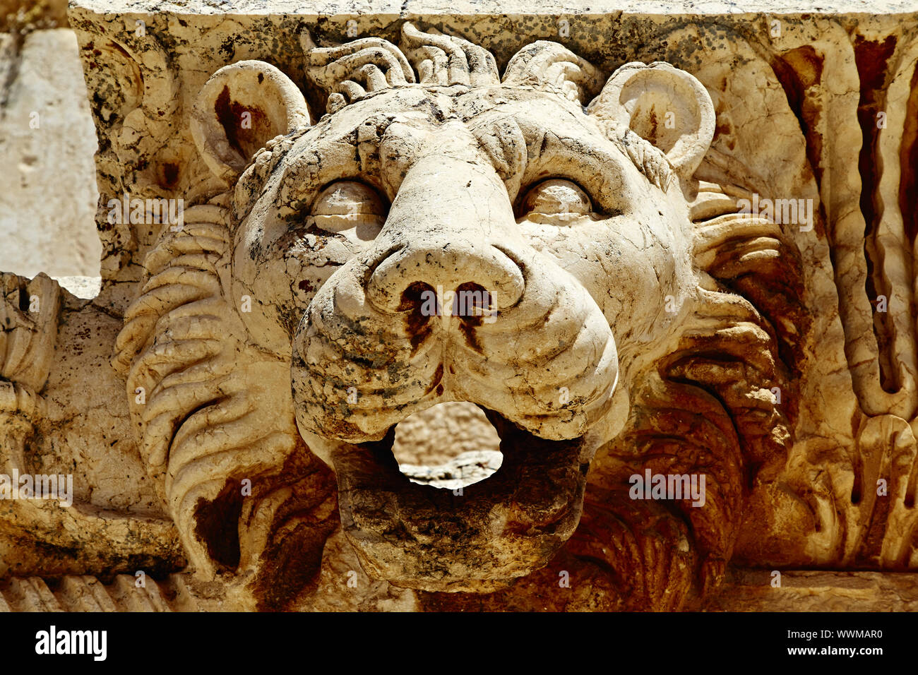 Baalbek lion (Temple of Jupiter) - Baalbek, Lebanon Stock Photo
