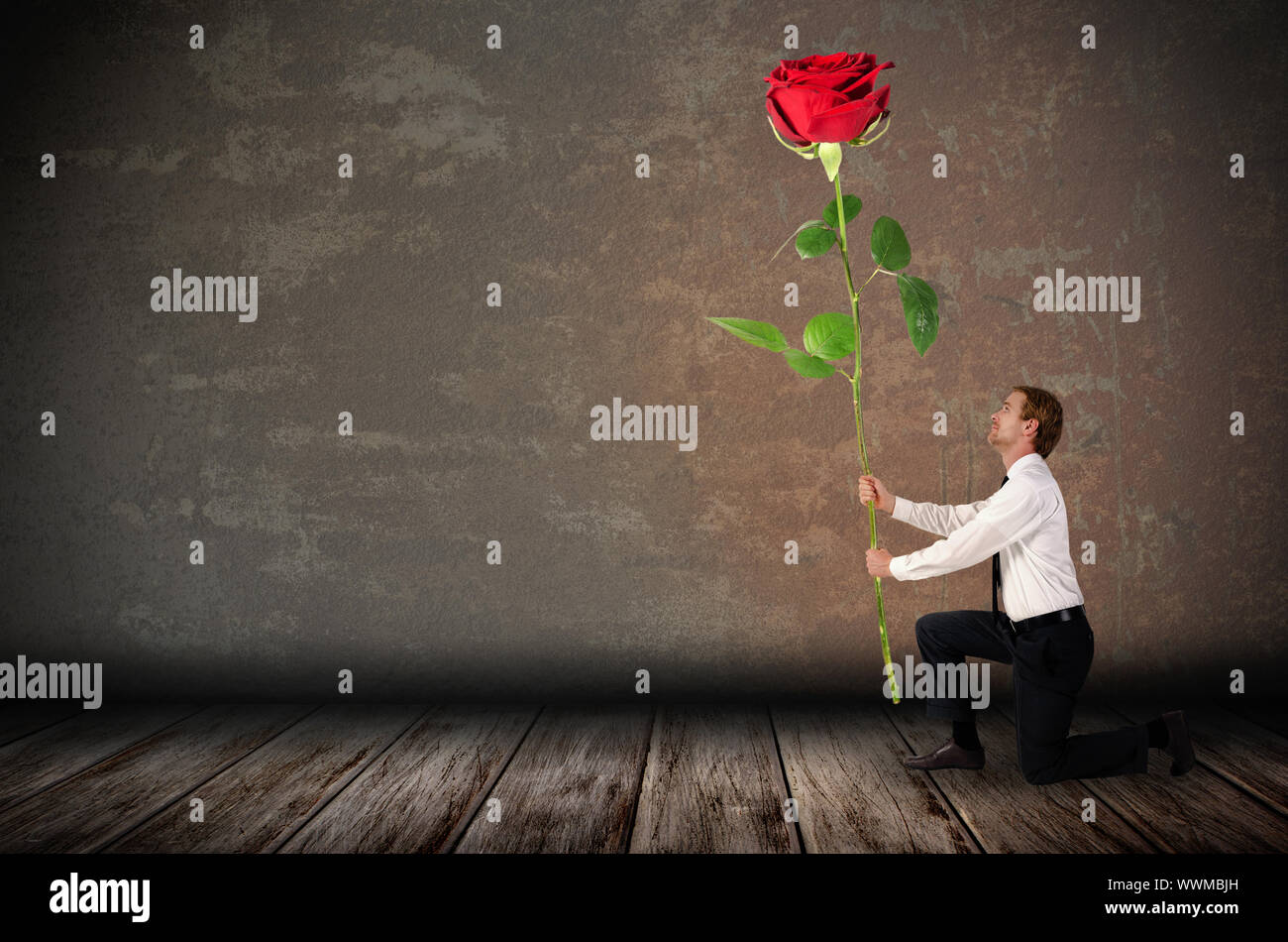 a kneeling man holding a big red rose Stock Photo