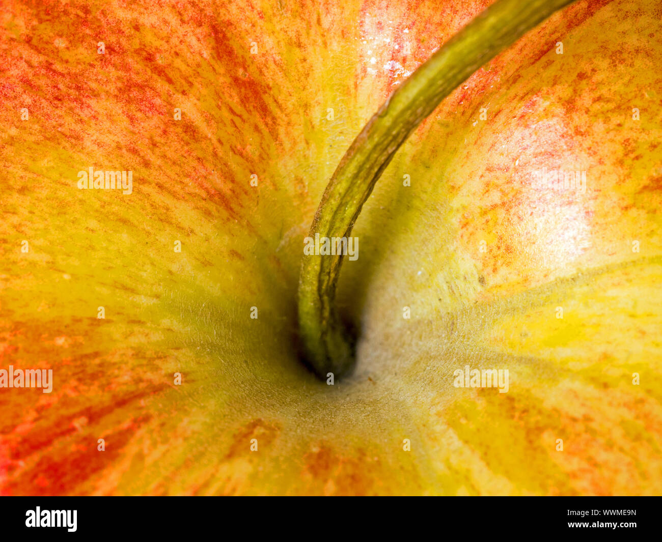 Apple / Braeburn Stock Photo Alamy