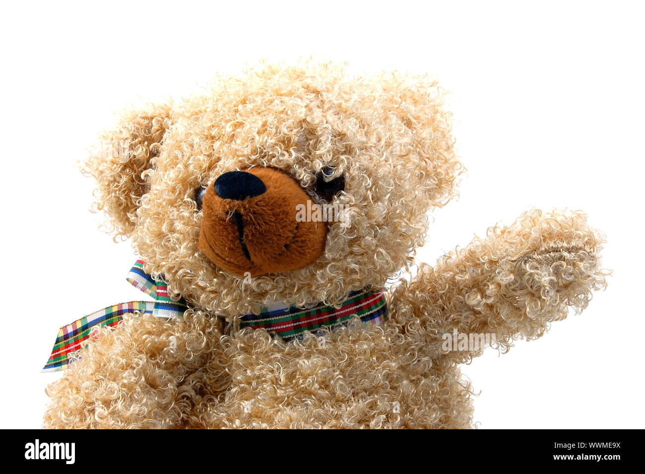 toy teddy bear isolated on white background Stock Photo - Alamy