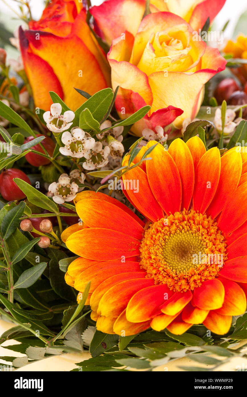 Vivid orange gerbera daisy in a bouquet Stock Photo