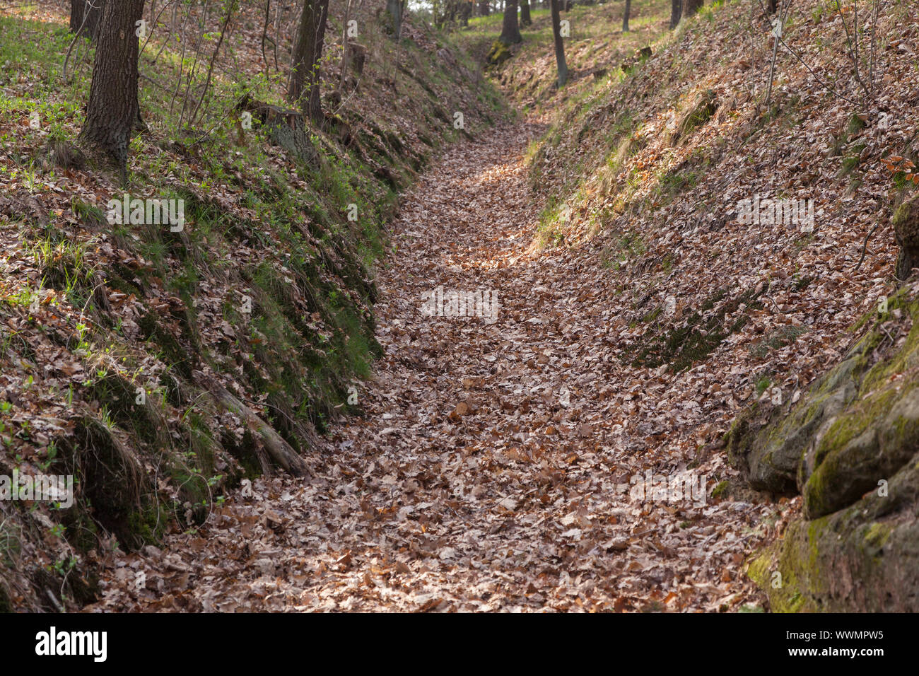 Hollow road hires stock photography and images Alamy