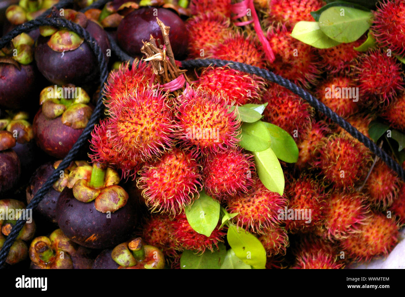 Rambutan and purple mangosteen fruits Stock Photo Alamy