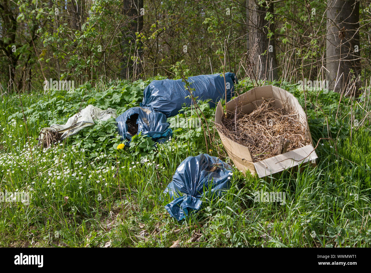 illegal waste disposal in nature Stock Photo Alamy