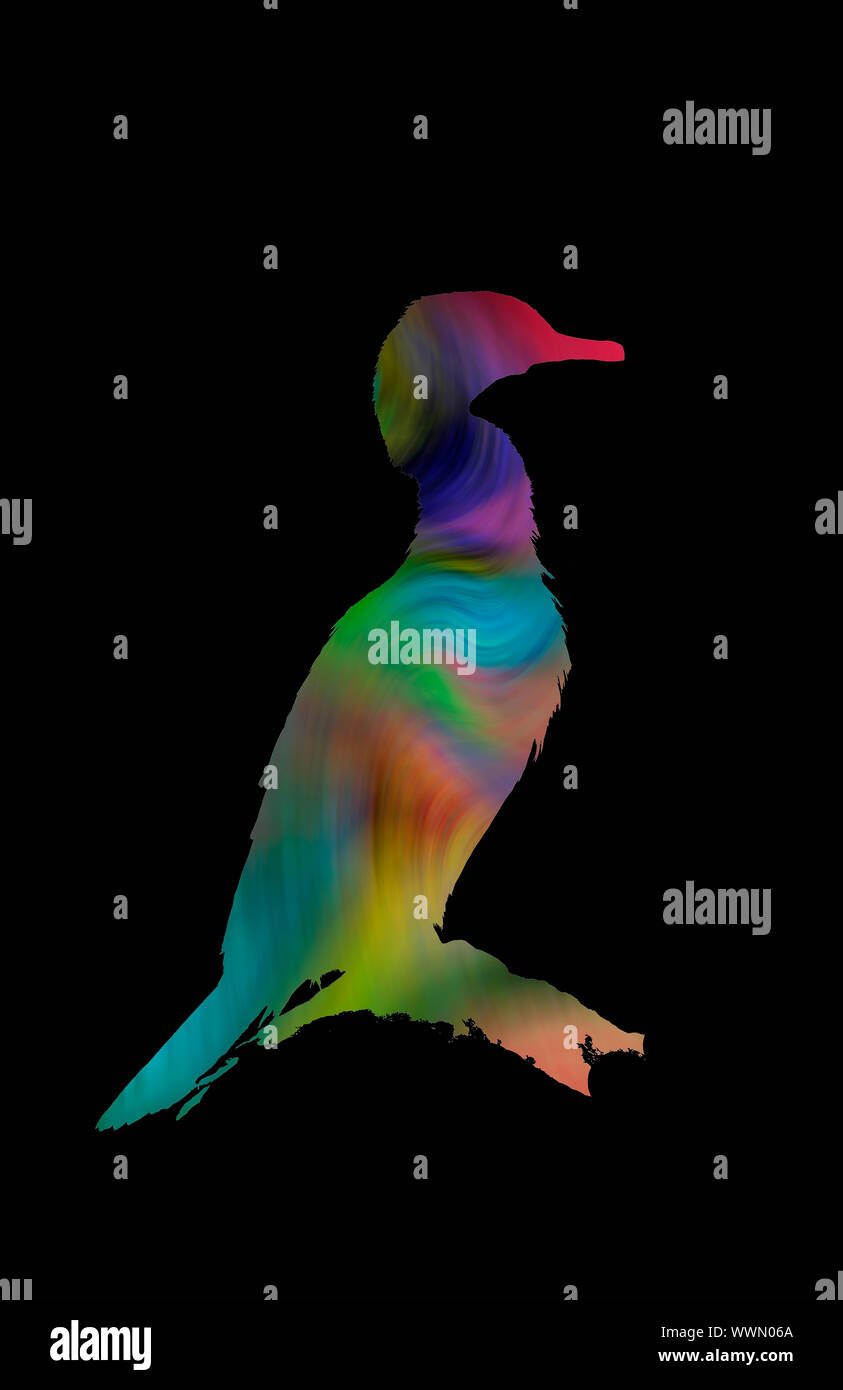 A multicoloured silhouette of a perched cormorant on a black background Stock Photo