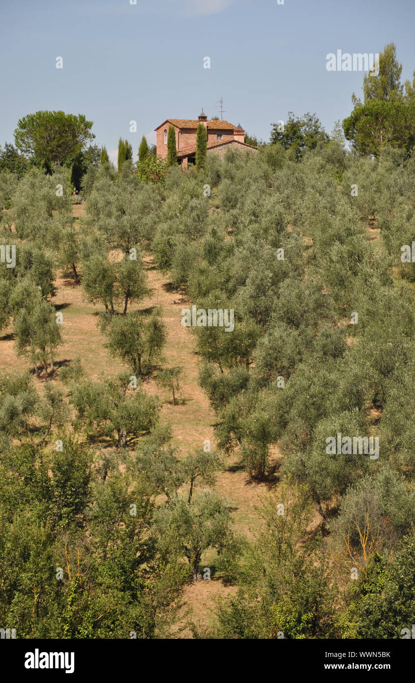 House in Tuscany Stock Photo - Alamy