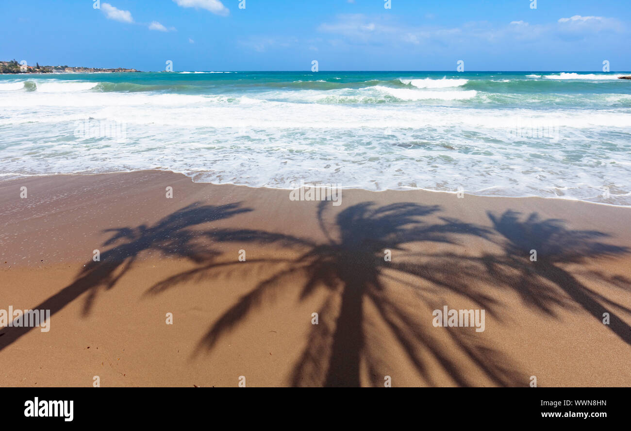 Tree Shadow Beach Tropical beach. Pristine tropical beach with palm trees shadows on a ...