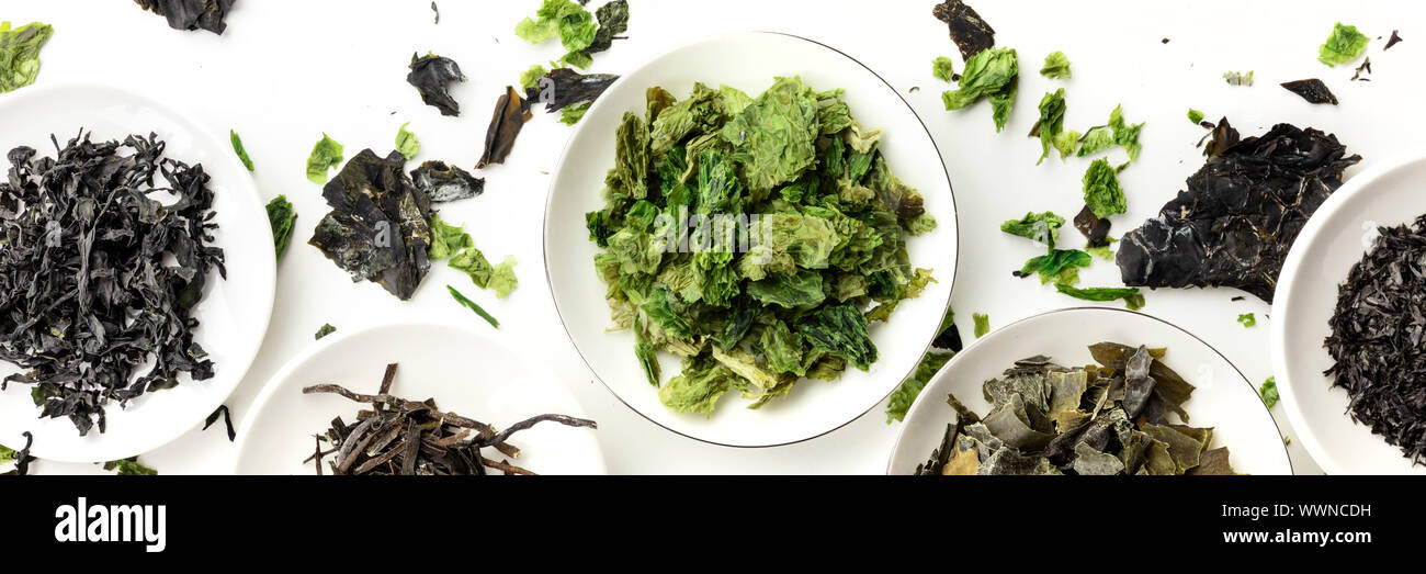 Various dry seaweed, sea vegetables, shot from above on a white background, panoramic flat lay composition Stock Photo