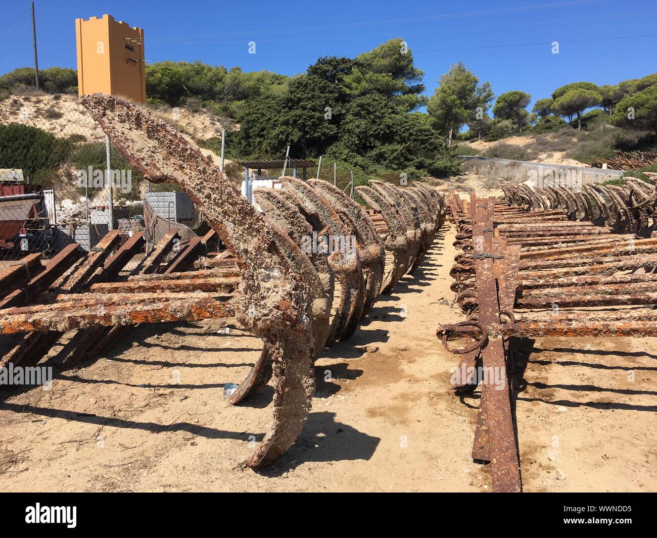 Ship anchors displayed for sale Stock Photo Alamy