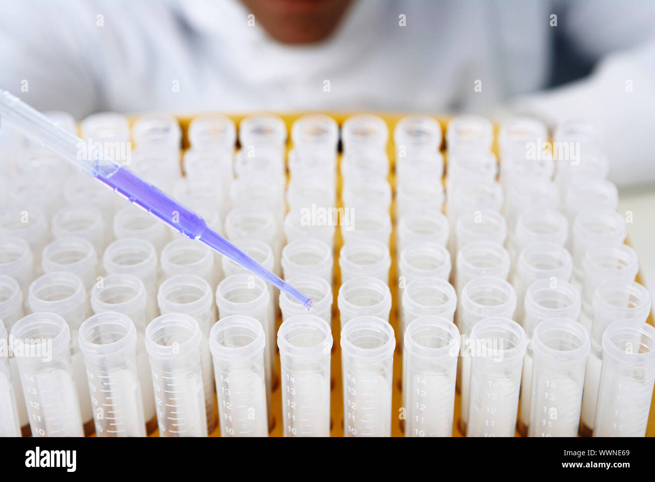Lab Worker Adding Liquid to Test Tubes Stock Photo