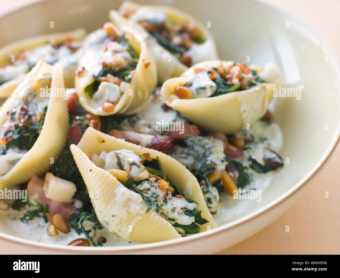 Conchiglioni pasta shells with Spinach Pancetta Pine Nuts and Go Stock Photo