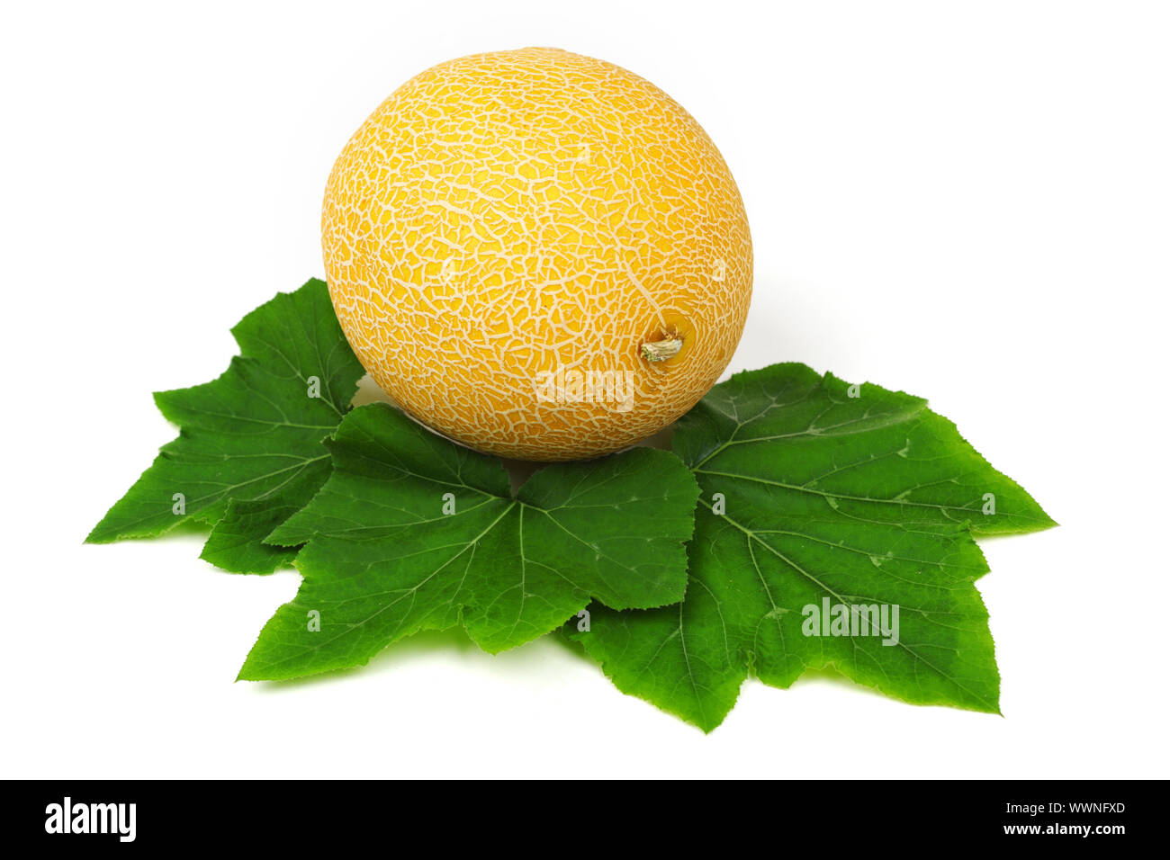 galia melone isolated on white Stock Photo