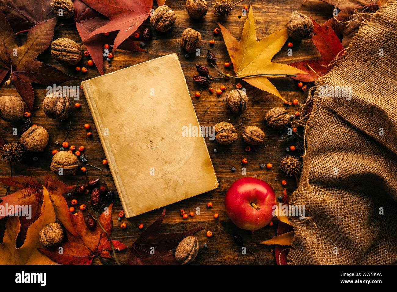Flat lay top view vintage book with autumn decoration on the table, nostalgic retro toned image Stock Photo